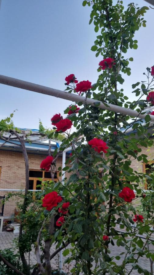 Hostel Muborak Samarkand Eksteriør billede