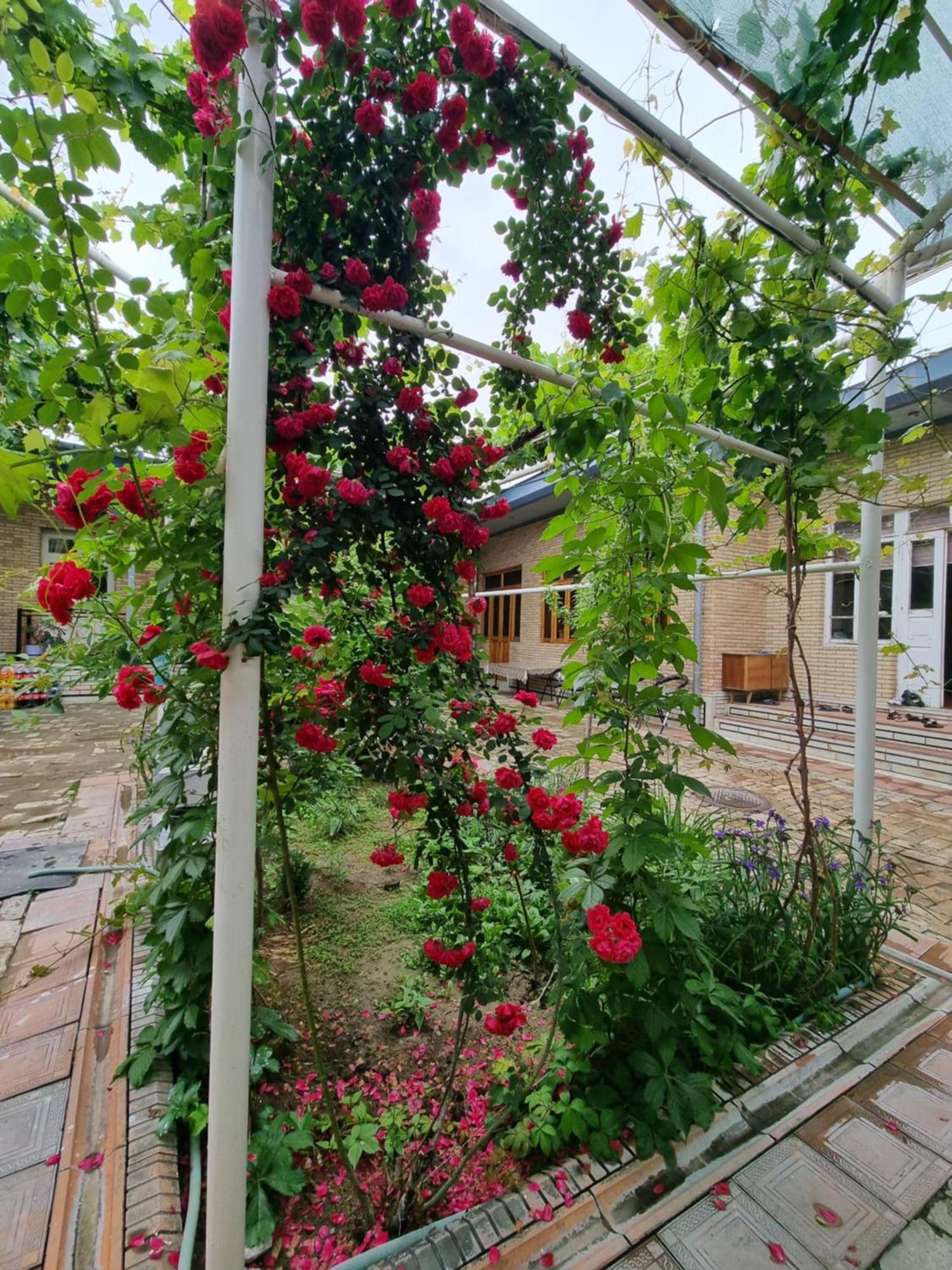 Hostel Muborak Samarkand Eksteriør billede