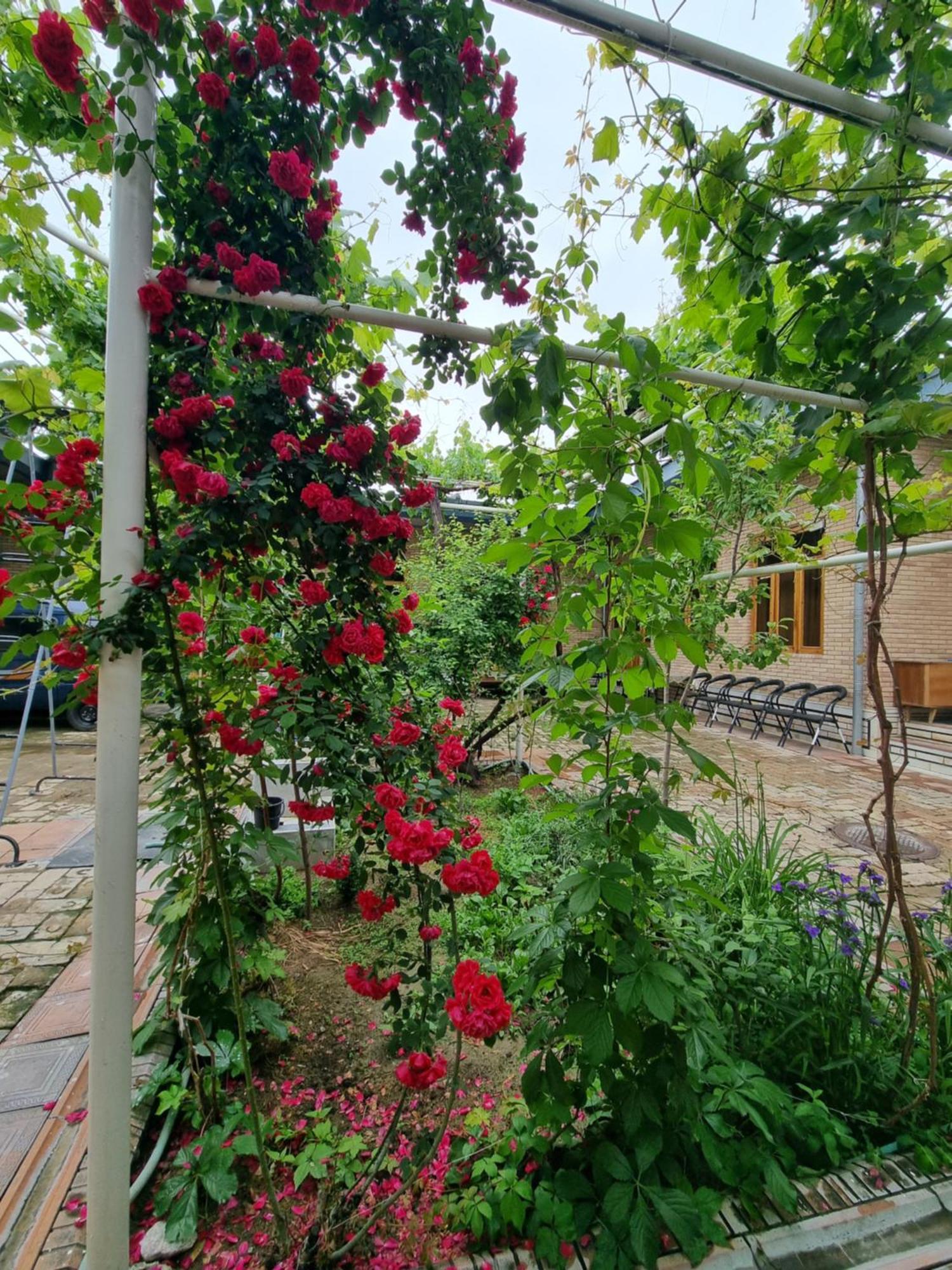 Hostel Muborak Samarkand Eksteriør billede